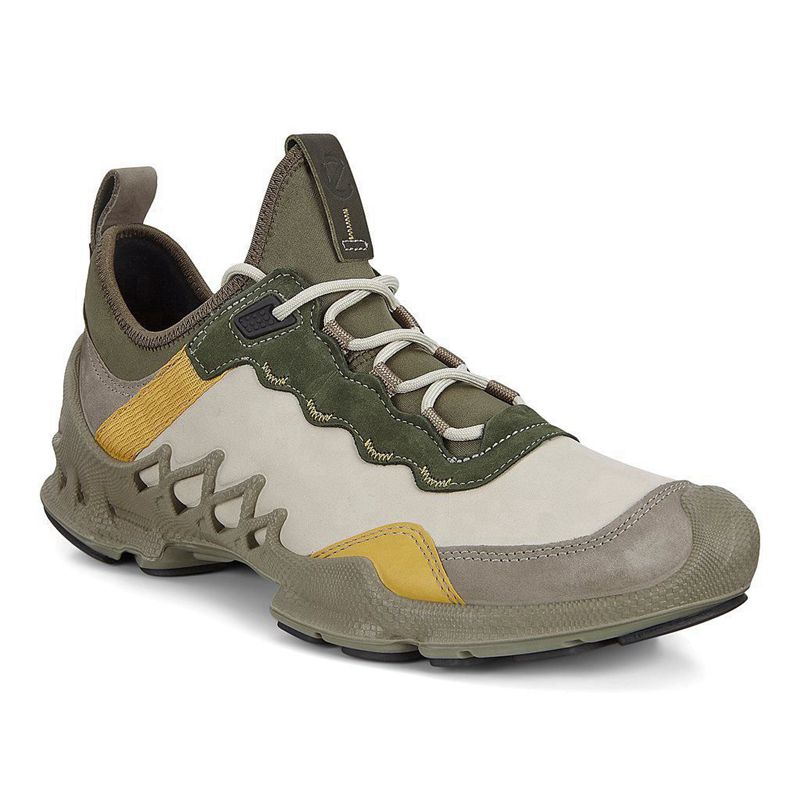 Men Outdoor Ecco Biom Aex M - Outdoor Multicolour - India FIYWBN376